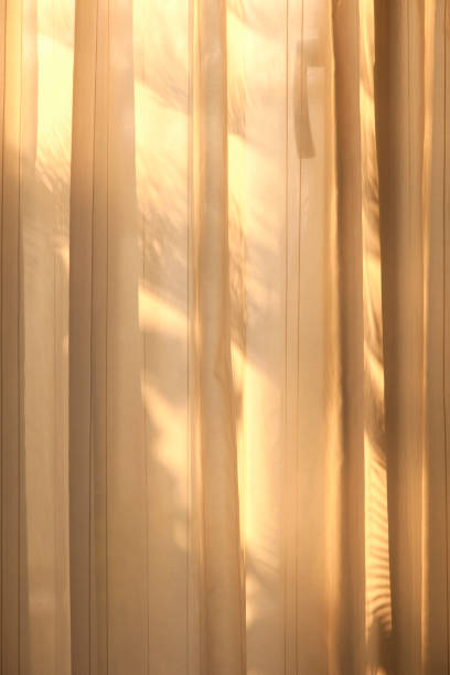 istock Light of the morning sun on the windowsill 844714804