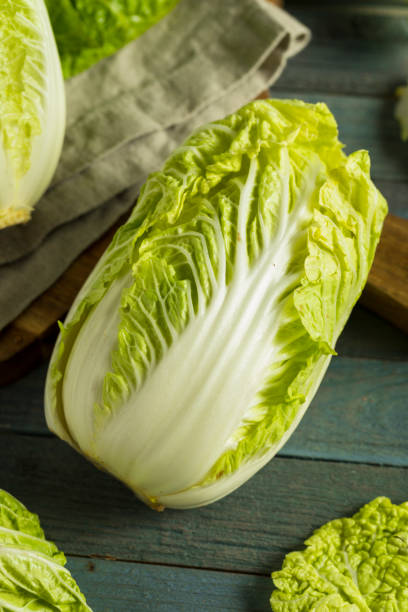 istock Raw Green Organic Napa Cabbage 844720008