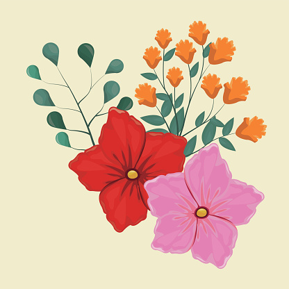 Imágenes prediseñadas de geranio en pote vector gratis Imágenes prediseñadas de geranio en pote vector gratis