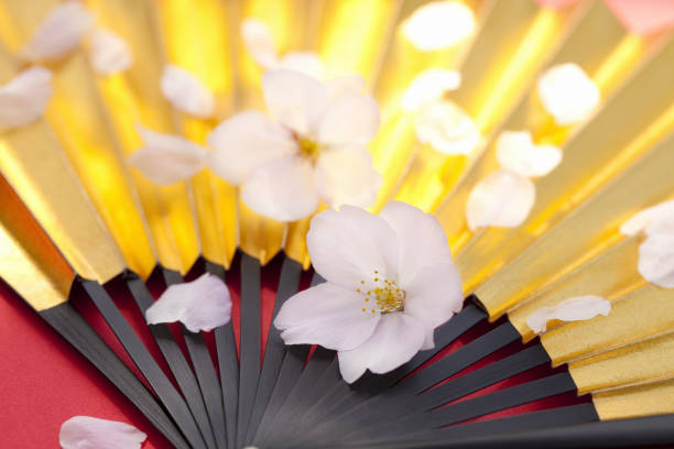 桜の花びらと金扇子