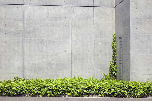 istock Planted around the buildings 844735144