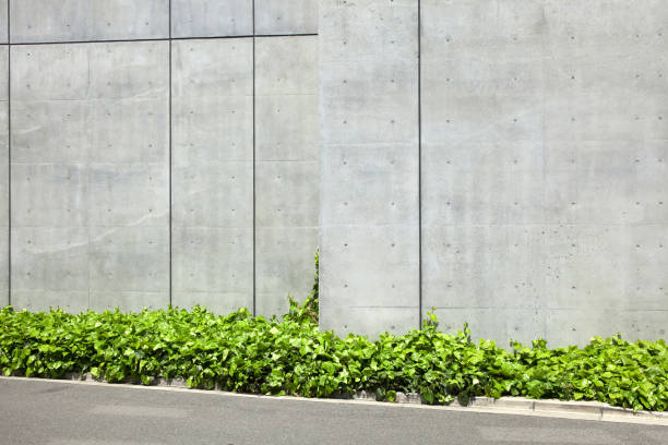 istock Planted around the buildings 844735158