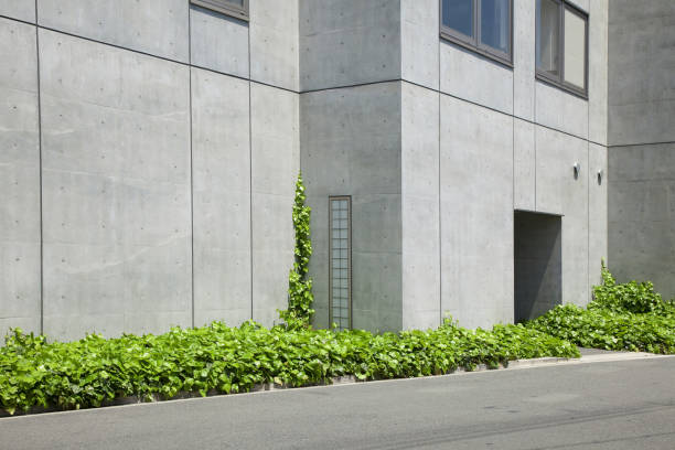 istock Planted around the buildings 844735204