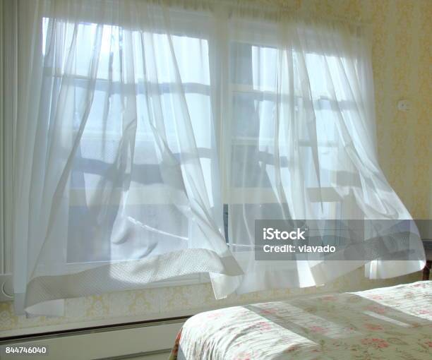 Morning Light And A Cool Breeze Blowing My Bedroom Curtains Stock Photo - Download Image Now