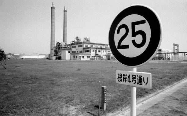 At Yokohama, Negishi