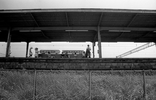 Railway of train on transport on countryside, view from door last bogie train