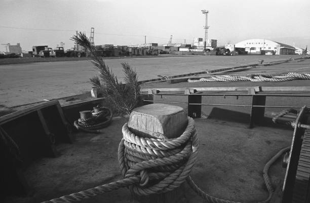 istock New year's day, Yokohama honmoku Pier 844772882