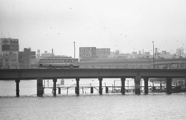 Peace Island, Tokyo Bay