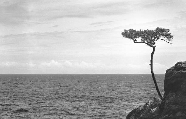 istock Kunisaki peninsula sea 844777090