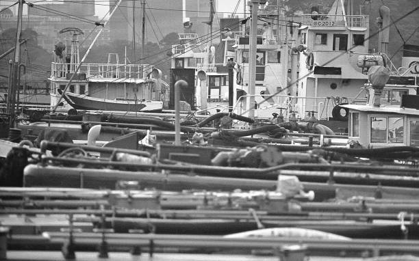 istock Tokyo Bay and Futo 844777370