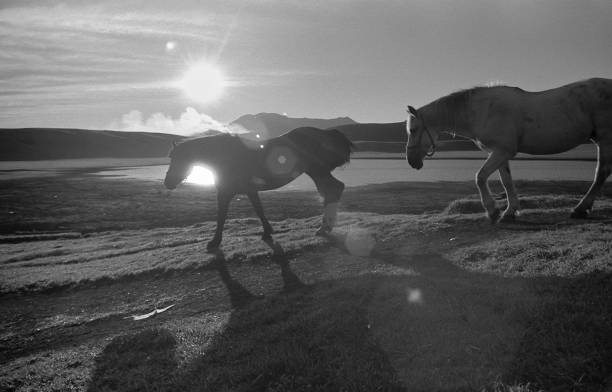 istock Bathed in the morning sun and grass Chisato Beach 844777552