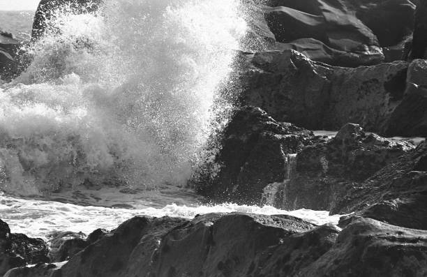 istock Breaking waves spray and dogs barked Kawasaki 844780688