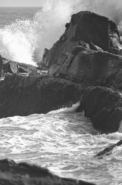 istock Breaking waves spray and dogs barked Kawasaki 844780714