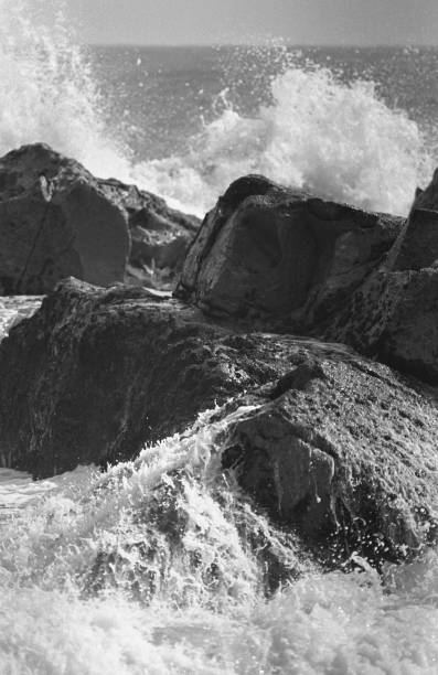istock Breaking waves spray and dogs barked Kawasaki 844780728