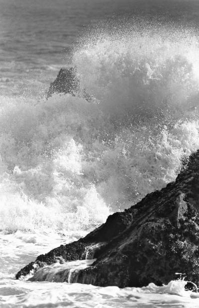 istock Breaking waves spray and dogs barked Kawasaki 844780738