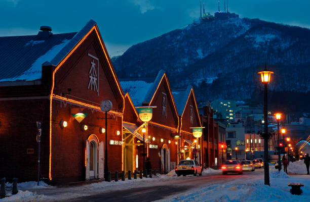 istock Hakodate and red brick warehouse of Hakodate-Yama 844786734