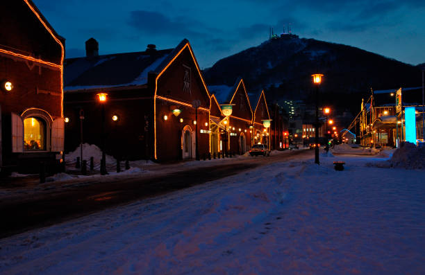 istock Hakodate and red brick warehouse of Hakodate-Yama 844786776