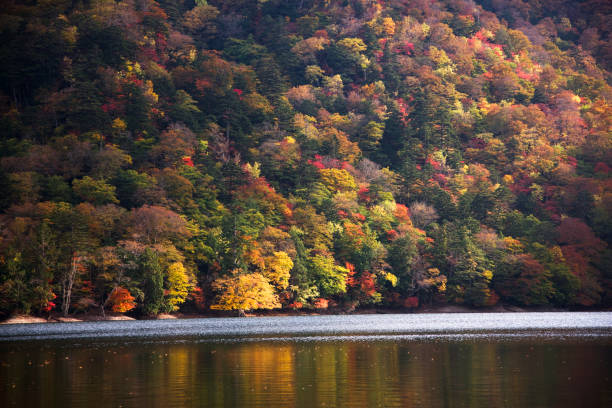 istock West-Lake and foliage 844815122
