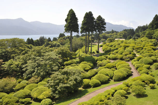 ASHI-Lake and azalea garden