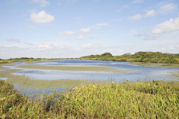 istock Sarobetsu wetland and Marsh 844817180