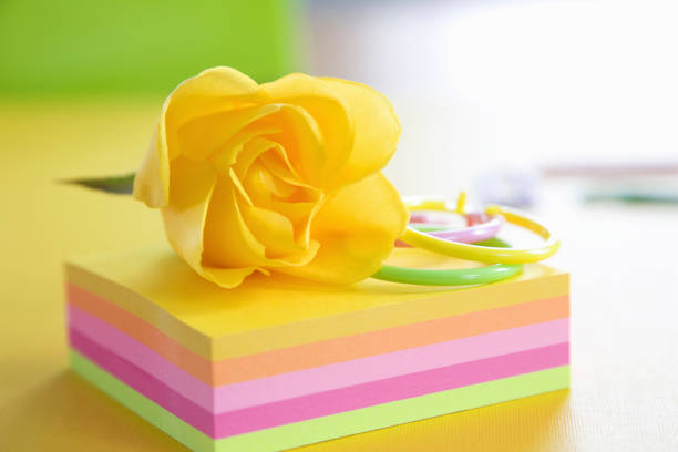 istock Stationery and roses 844817686