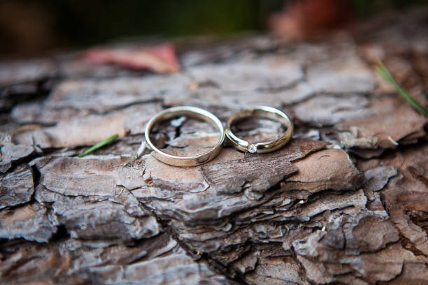 Couple wedding rings on old wood texture, the bark of the tree