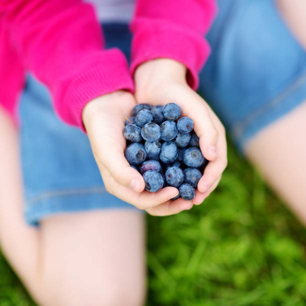 istock Close-up of childs hands holding fresh blueberries 844844892