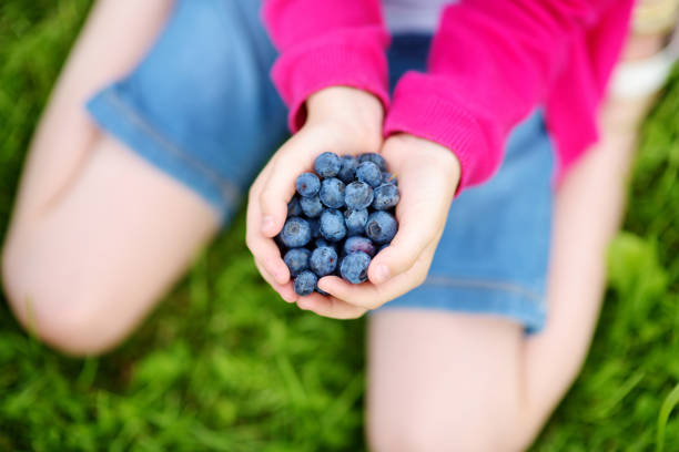 istock Close-up of childs hands holding fresh blueberries 844844934