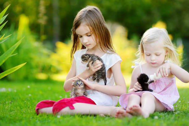 istock Two little sisters feeding kittens with milk 844848362