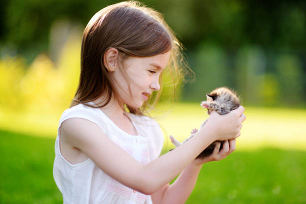 istock Adorable little girl playing with small kitten 844848614