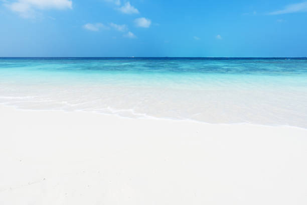 istock Tropical sea and sand 844857360