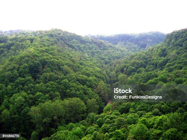 Spencer Creek Gorge And Old Dundas Station Loop Stock Photo - Download Image Now - Ontario - Canada, Forest, Hamilton - Ontario