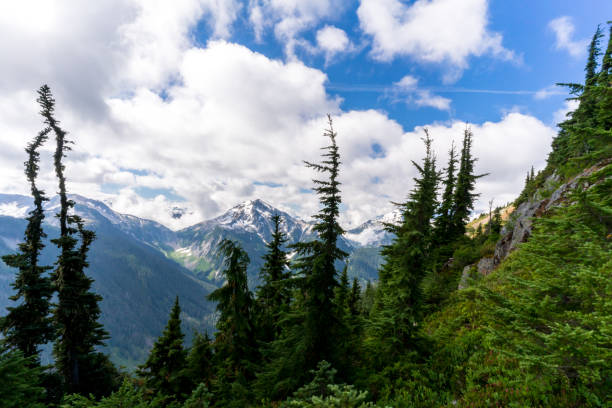 istock Beautiful North Cascades National Park 844866882