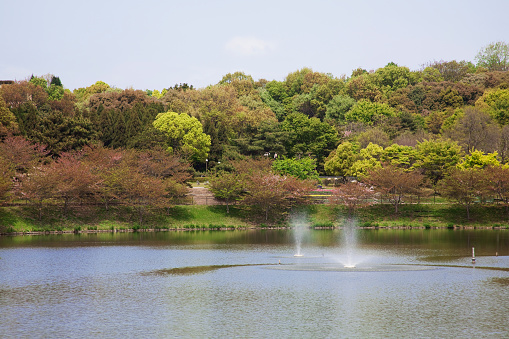 Tsurumi ryokuchi Park