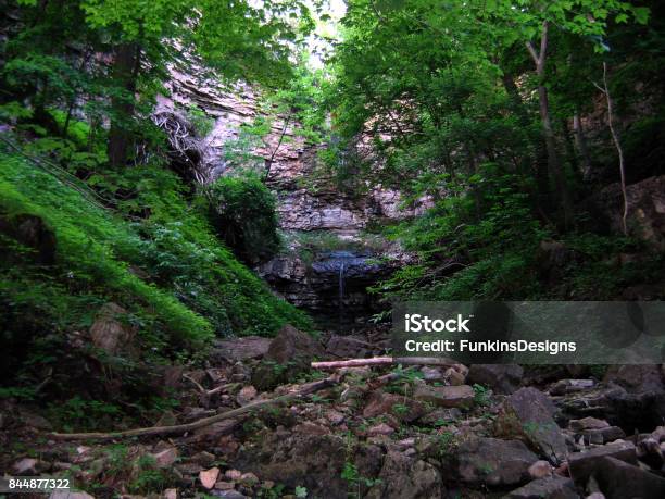 Spencer Creek Gorge And Old Dundas Station Loop Stock Photo - Download Image Now - River, Woodland, Bush