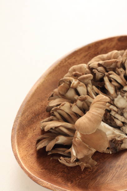 istock Japanese food ingredient, Maitake mushroom 844882638