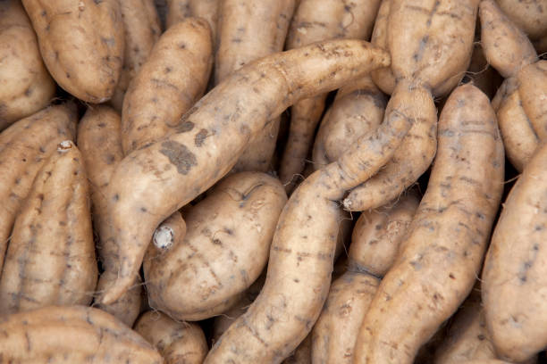 istock Organic sweet potato 844890140