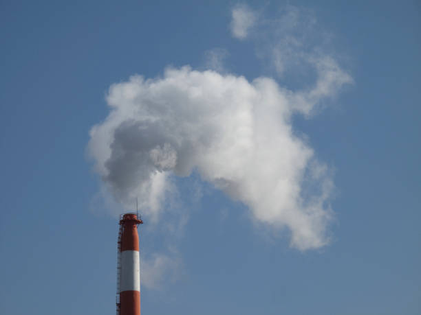 istock Trash to steam incinerator chimney 844896010