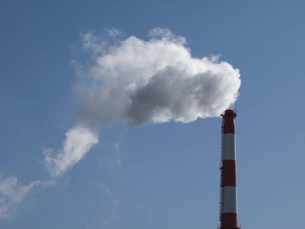 istock Trash to steam incinerator chimney 844896032