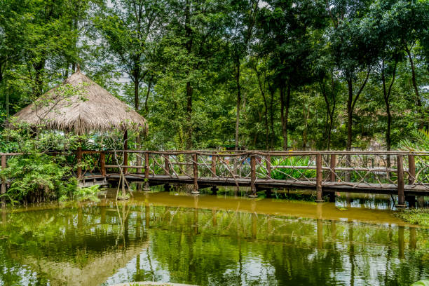 istock Footbridge in the park 844917216