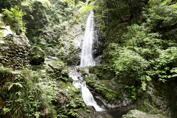 istock Waterfalls of paying 844923600