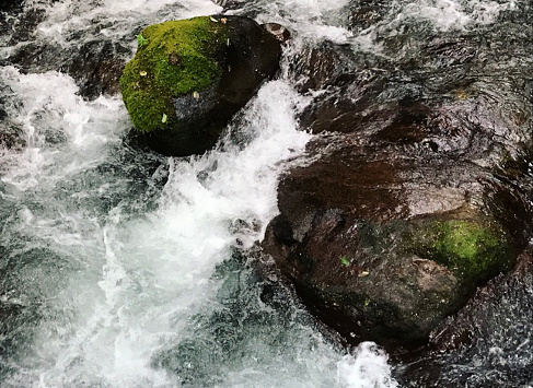 Rushing water of the Salmon River