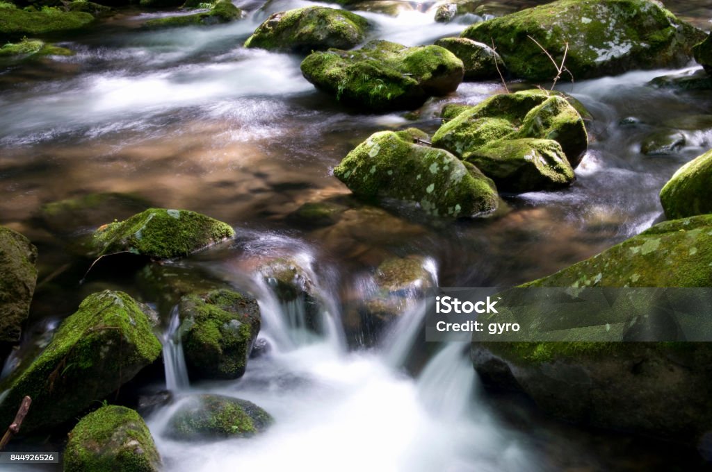 Akame 48 waterfall Environment Stock Photo