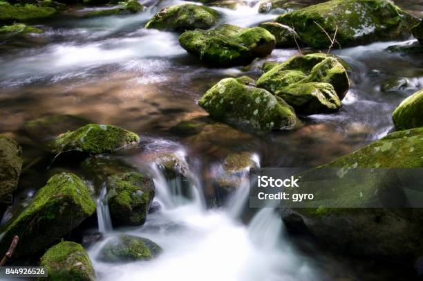 Akame 48 Waterfall Stock Photo - Download Image Now - Environment, Forest, Green Color