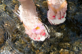 水の中のビーチサンダルを履いた足