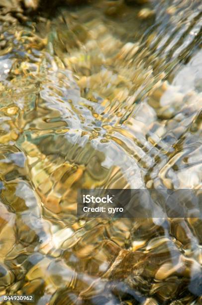 Clear Stream Stock Photo - Download Image Now - Environment, Flower, Forest