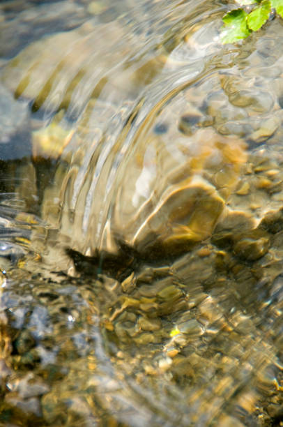 Clear stream Clear stream nabari photos stock pictures, royalty-free photos & images