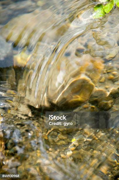 Clear Stream Stock Photo - Download Image Now - Environment, Flower, Forest
