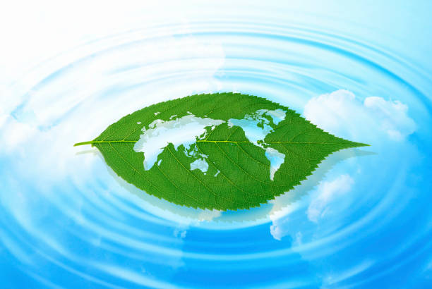 istock Map of the world in the leaves 844937408