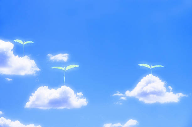 istock Blue sky and white clouds and Futaba 844938990